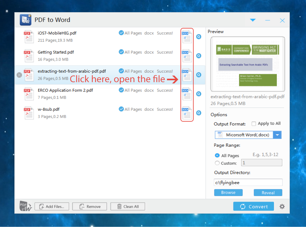 convert pdf to editable word 2010